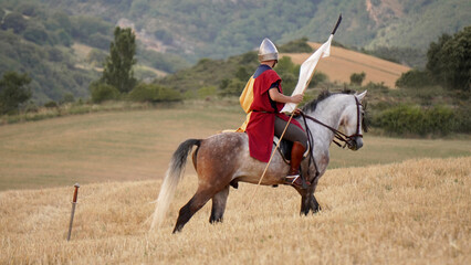 a knight on a horse, with a white flag in his hands, in the middle of the field. 