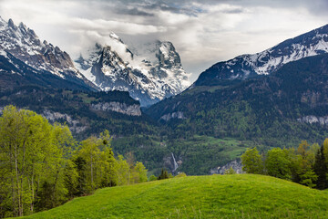 Rugged Swiss Alpine mountain scenery behind a lush, green meadow
