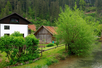 View of the Savinja river and valley in Luce, Slovenia, Europe