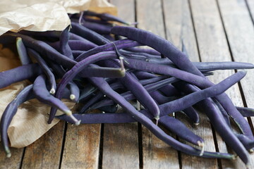 Buschbohne, blaue Bohnen, Bohnen von violetter Farbe, Purple Teepeh