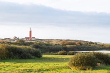 Fototapeta na wymiar Lighthouse on the Wadden Island of Texel, Netherlands.