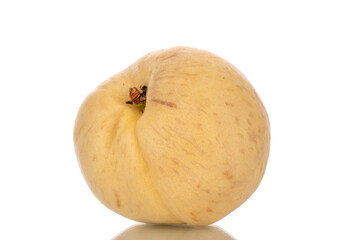 One juicy ripe peach, macro, isolated on white background.