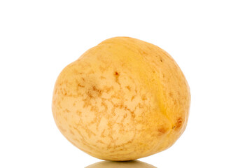 One juicy ripe peach, macro, isolated on white background.
