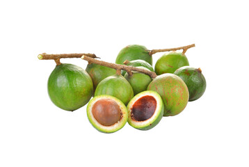 Fresh macadamia nuts on  transparent png