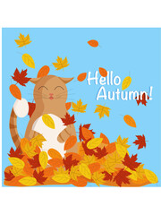 Cat with leaf in autumn. Autumn atmosphere