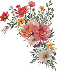 Watercolor carnation , cheery broom , wild flowers , illustration flower vector
