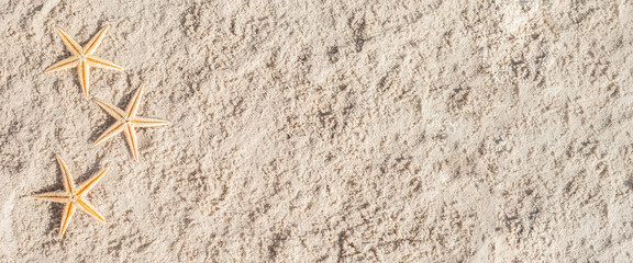 Three starfish on the sand. Top view, flat lay. Banner