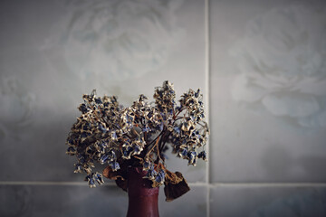 Dry blue and white violet flowers in earthenware vase