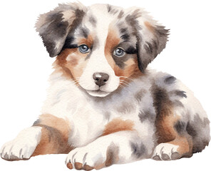 Australian shepherd puppy watercolour illustration created with Generative AI technology