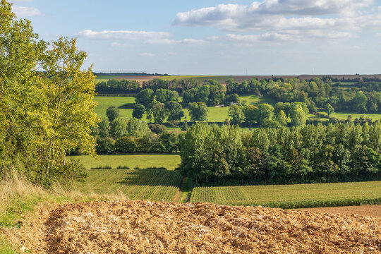 Paysage de bocage &agrave; Humbert