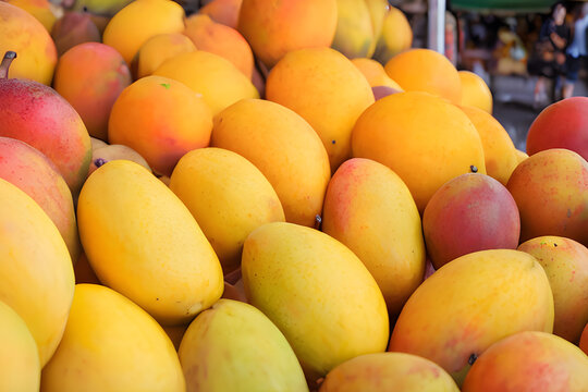 Harvested Tropical Sweet Delights: Mouthwatering Closeup Illustration Image of a Pile of Mangoes In The Farmer's Market Generative Ai