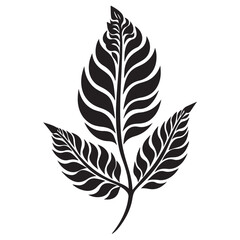Obraz premium Wide leaf black and white leaf silhouette, vector leaves, editable and ready to print,