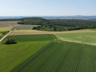 Landscape with green crop fields, trees and a blue nice sky from above 