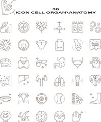 Organ, anatomy flat line icon set. Human bones, stomach, brain, heart, bladder, nervous system vector illustration. Outline pictogram for medical clinic, editable eps 10