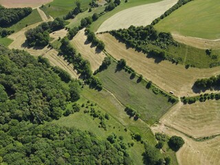 Aerial view of green grass fields and trees in the landscape in summer