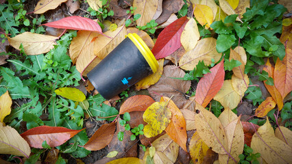 Autumn day, on a carpet of fallen leaves in the city lies a disposable paper cup without a coffee lid.