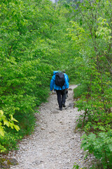 Obraz premium Path to Waterfall Boka in Triglav National Park , Slovenia, Bovec, Europe 