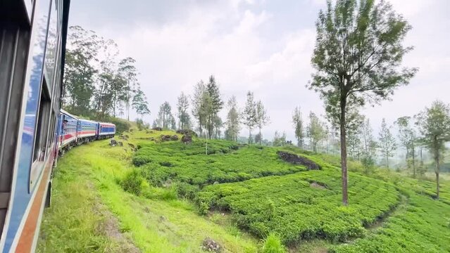 Train passing tea estates , Countryside train travel 