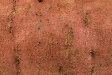 Sweet potato on the white background