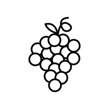 grapes black outline icon vector icon illustration eps