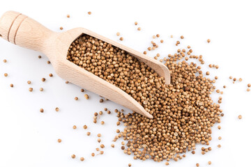 Coriander seeds in wooden scoop