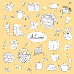 Autumn set in doodle style, cozy fall things, vector