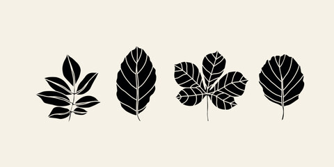 Line art leaves set. Elder, beech, chestnut, alder	