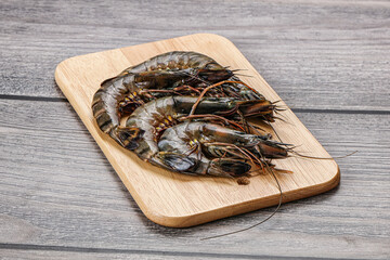 Raw tiger prawn for cooking