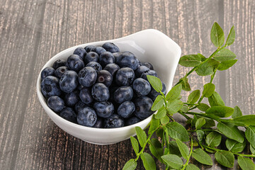 Ripe sweet blueberry in the bowl