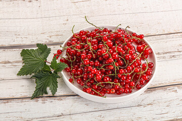 Sweet ripe red currant berries