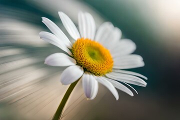 Naklejka premium daisy flower generated AI