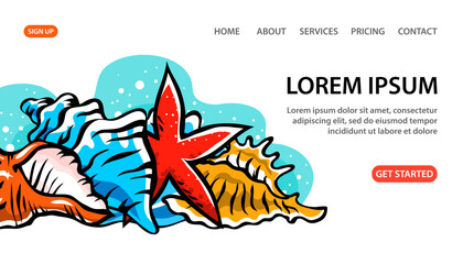 Colorful seashells and starfish set. Snail sea shell. Marine underwater twisted seashell. Undersea mollusc. Animal and wildlife. Cartoon vector art illustration hand drawn. Design for website, banner