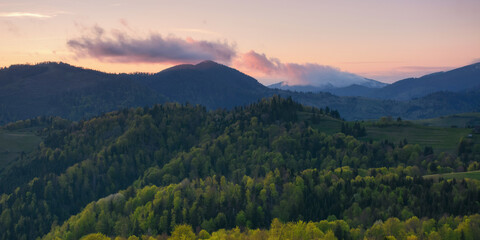 cloudy afternoon in carpathian countryside. forested hills and grassy meadows in evening light. gorgeous rural area background in springtime