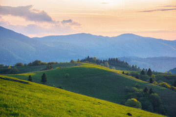 Fototapeta na wymiar grassy hills and meadows on rolling hills. beautiful mountain landscape with borzhava ridge in the distance in evening light