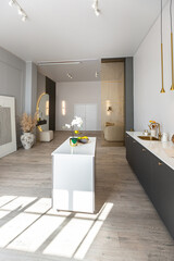 bright open-plan apartment in a modern design, light walls and wooden floor in a room with daylight