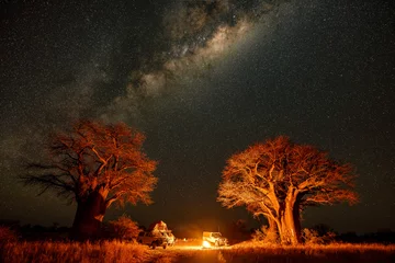 Fotobehang milky way over baobab © Johannes