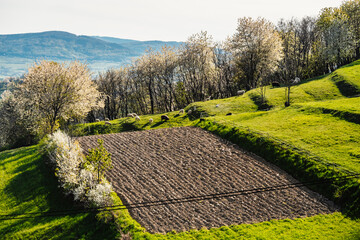 Spring Slovakia landscape. Nature fields with blooming cherries. Unique ecological land management. Polana region, Hrinova, Slovakia Europe. © Zedspider