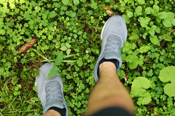 Feet standing on a bed of green clover leaves with pine cones scattered around. The person is...