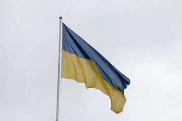 Ukraine Flag