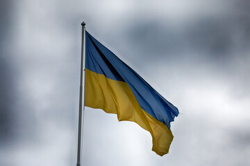 Ukraine Flag