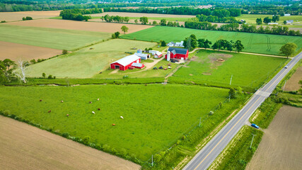 Aerial farmland with cows grazing in green pastures and distant red barn and stable