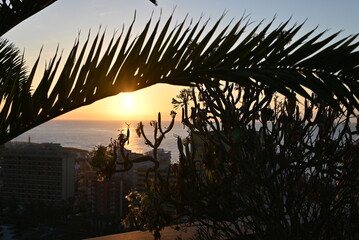 Fototapeta na wymiar Sonnenuntergang mit Blick auf das Meer (in Teneriffa)