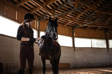 Equestrian sports. A young woman in a sports uniform, a rider and her horse in the arena, preparing for training with a dressage horse. - 626660471