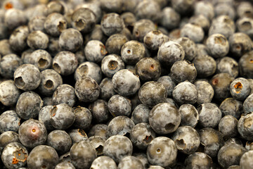 Showcase with blueberries. Food market, close-up