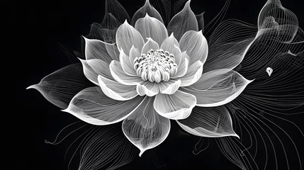 Foto op Canvas Timeless Elegance: The Iconic Lotus Flower in Full Bloom © BCFC