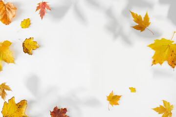 Surrender to the allure of fall's magical ambience. Top view photo of colorful autumn leaves and...