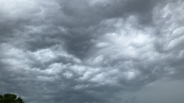 Stormy and rainy sky with cloudburst and natural abstract texture of clouds above the trees in summertime. Topics: weather, rainstorm, meteorology, climate, stormy season