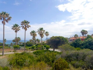Fototapeta na wymiar palms and a view to the village of La Alcaidesa with the Mediterranean Sea beyond, Cádiz, Andalusia, Malaga, Spain