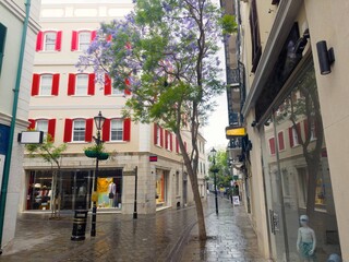 Fototapeta premium famous Main Street with beautiful buildings in Gibraltar on a rainy day, 2023, British Overseas Territory, United Kingdom, Europe