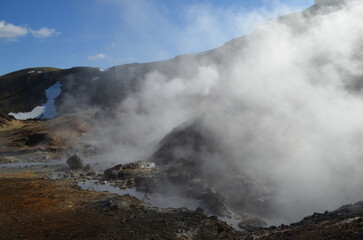 Fototapeta na wymiar Steam Rising from the Earth in Rugged Iceland